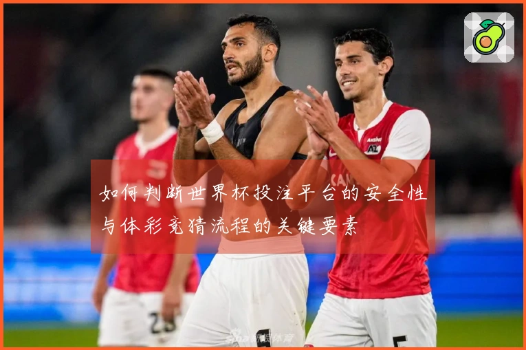 如何判断世界杯投注平台的安全性与体彩竞猜流程的关键要素