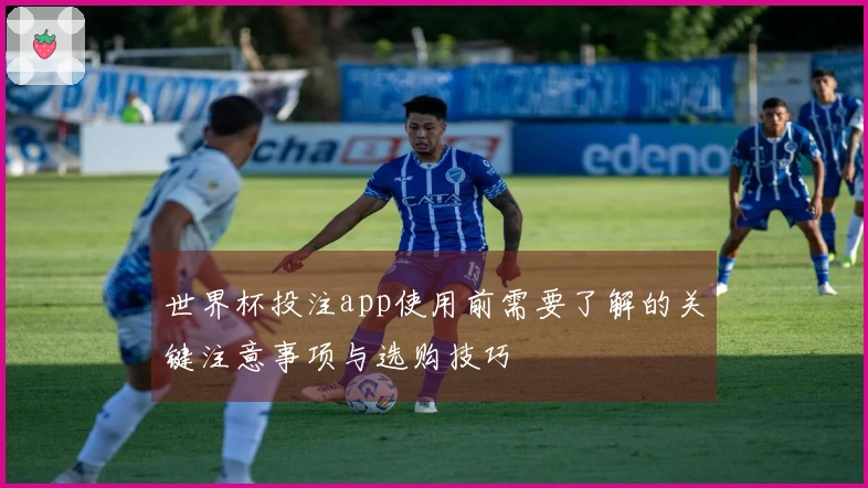 世界杯投注app使用前需要了解的关键注意事项与选购技巧