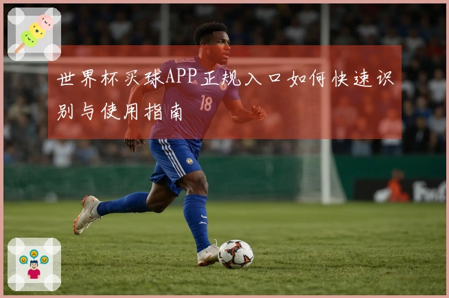 世界杯买球APP正规入口如何快速识别与使用指南