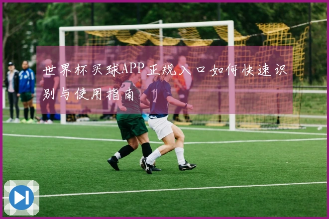 世界杯买球APP正规入口如何快速识别与使用指南