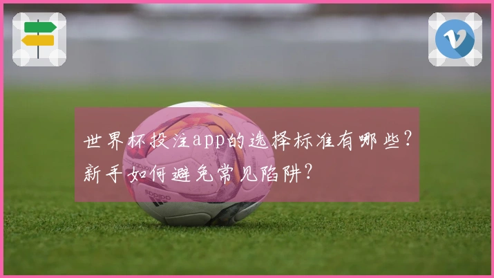世界杯投注app的选择标准有哪些？新手如何避免常见陷阱？